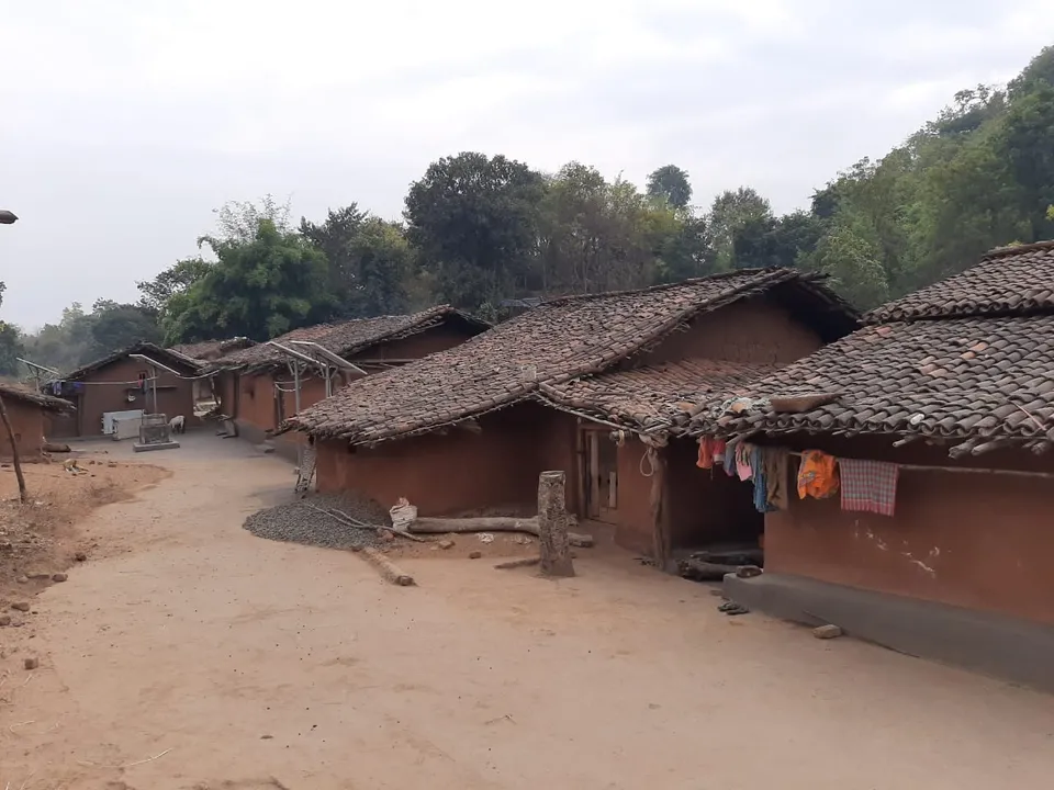  କୋମନାରେ ବାଘ ଆତଙ୍କ: ଛେଳି ବଳଦ ଓ ବାଛୁରୀକୁ ବାଘ ମାରି ଖାଇଥିବାର ସୂଚନା