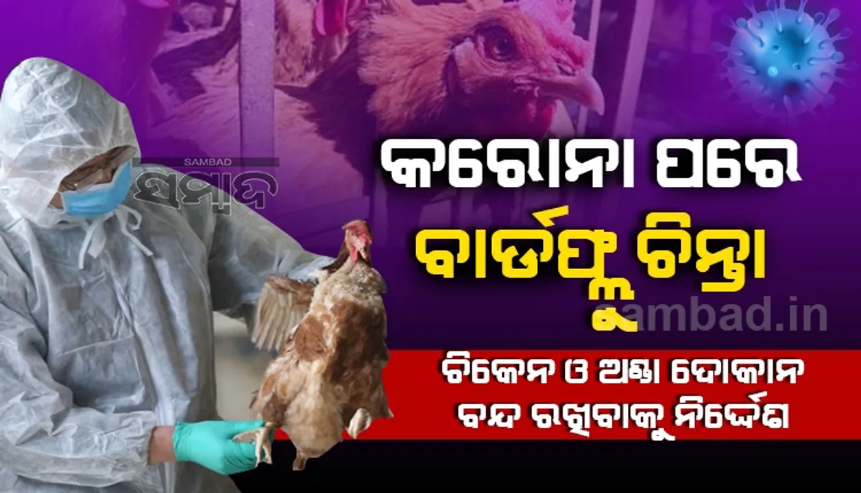  କରୋନା ପରେ ବାର୍ଡ଼ ଫ୍ଲୁ ଚିନ୍ତା: ୧୫ ଦିନ ପାଇଁ ଚିକେନ ଓ ଅଣ୍ଡା ଦୋକାନ ବନ୍ଦ ରଖିବାକୁ ଦିଆଗଲା ନିର୍ଦ୍ଦେଶ