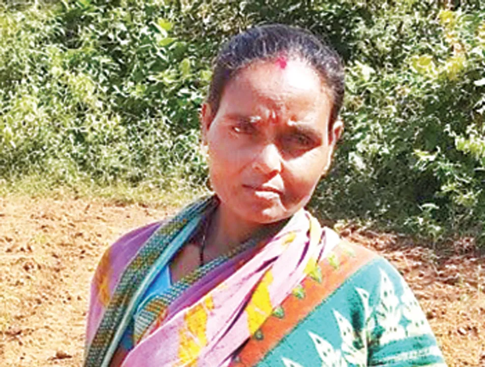  ପଛୁଆ ଅଞ୍ଚଳର ସଫଳ ଚାଷୀ ବିଜୟଲକ୍ଷ୍ମୀ : ୩ ଏକର ଜମିରେ ଫଳାଉଛନ୍ତି ସୁନା