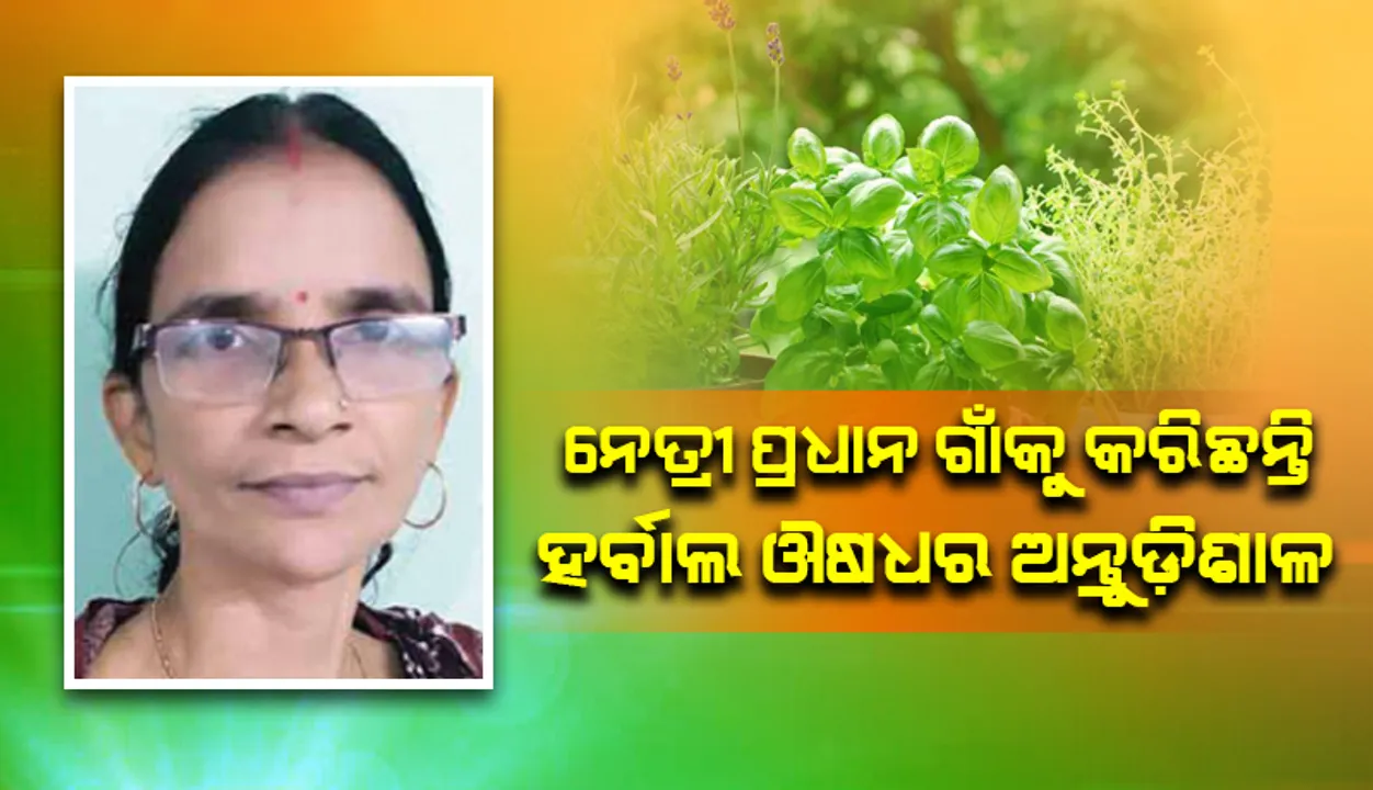  ମହିଳା ସଶକ୍ତୀକରଣରେ ବ୍ରତୀ: ନେତ୍ରୀ ପ୍ରଧାନ, ଗାଁକୁ କରିଛନ୍ତି ହର୍ବାଲ ଔଷଧର ଅନ୍ତୁଡ଼ିଶାଳ