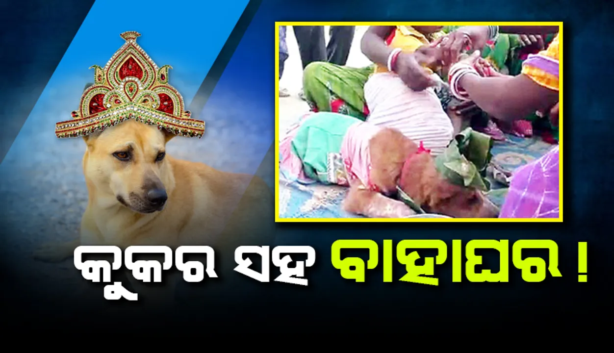  କରଞ୍ଜିଆ : ରିଷ୍ଟ ଖଣ୍ଡନ ପାଇଁ କୁକୁର ସହ ବାହାଘର!