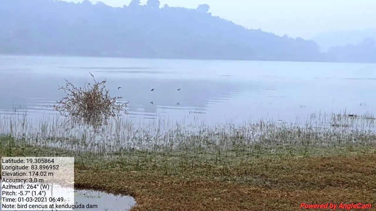  ସରିଲା ପକ୍ଷୀ ଗଣନା: କମୁଛି ବିଦେଶାଗତ ପକ୍ଷୀଙ୍କ ସଂଖ୍ୟା, ପୂର୍ବ ବର୍ଷ ତୁଳନାରେ ଆସିଛନ୍ତି ୪୧୫୪ କମ୍ ପକ୍ଷୀ