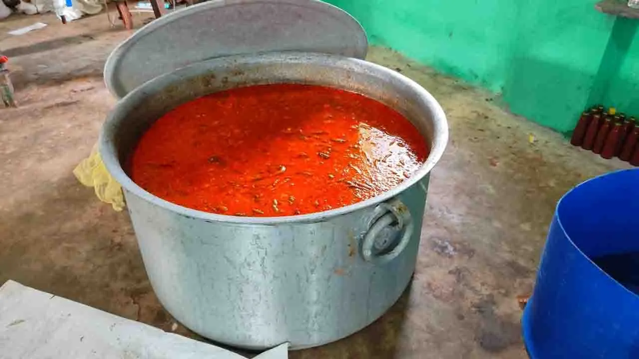  ବିଷ ବଳୟରେ ରାଜଧାନୀ : ପଚା କଖାରୁରେ ଟମାଟୋ ସସ୍‌, ଆଚାରରେ ପୋକ ସାଲୁବାଲୁ