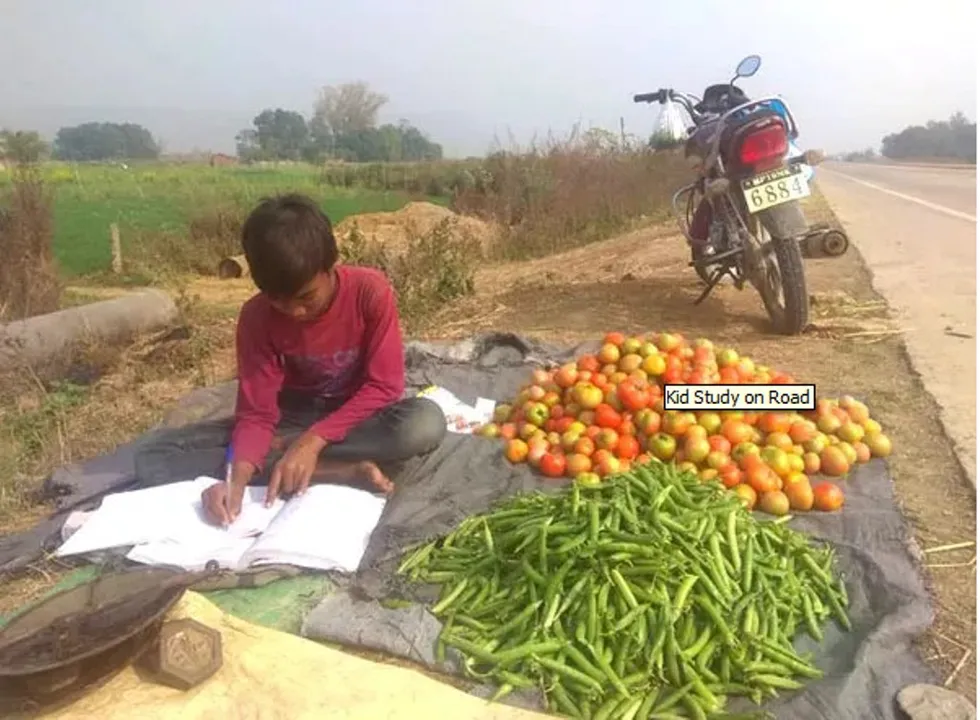  ରାସ୍ତା ପାର୍ଶ୍ବରେ ପରିବା ବିକ୍ରି କରିବା ସହିତ ପାଠପଢ଼ୁଥିବା ବାଳକକୁ ଦେଖି ଆଇଏଏସ୍ କହିଲେ ଏଭଳି କଥା