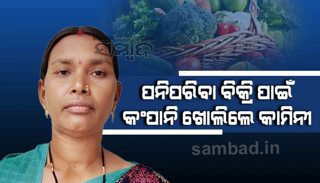  ପନିପରିବା ବିକ୍ରି ପାଇଁ କଂପାନି ଖୋଲିଛନ୍ତି କାମିନୀ, ୨୨୪ ମହିଳା ଚାଷୀଙ୍କୁ ଦେଲେ ରୋଜଗାରର ରାହା