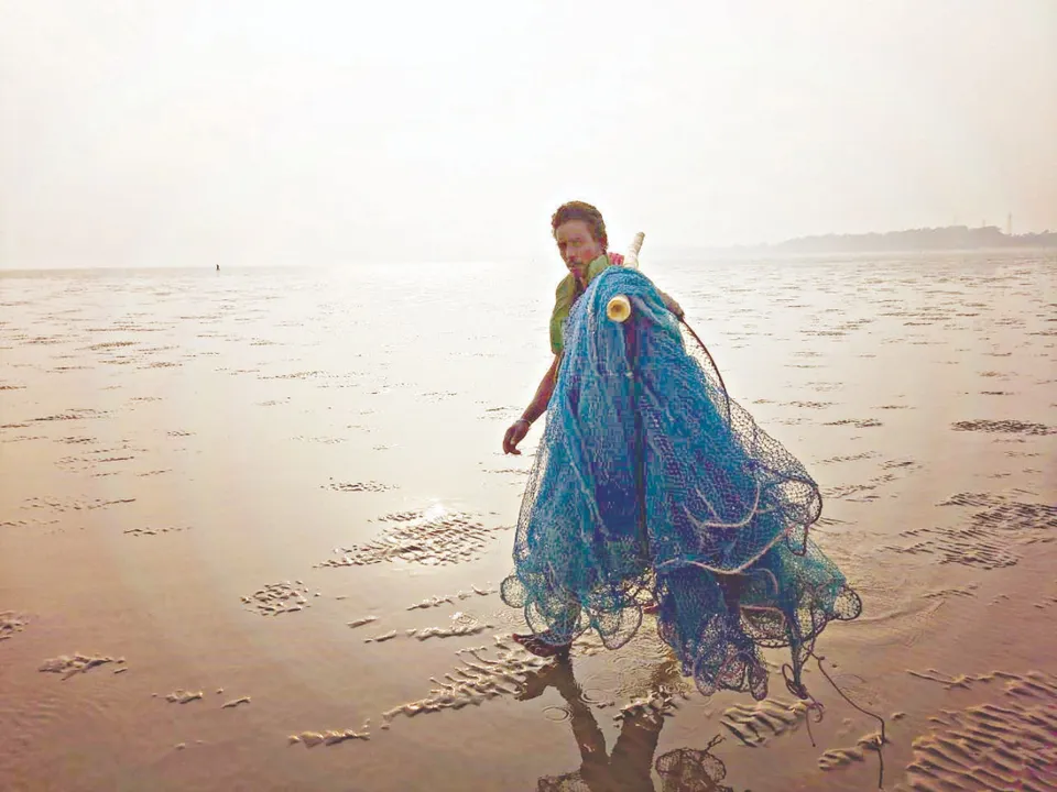  ସରିଲା ମାଛ ଧରା। ଏବେ ଘରବାହୁଡ଼ା: (ଫଟୋ: ମନୋଜ ରାଉଳ)