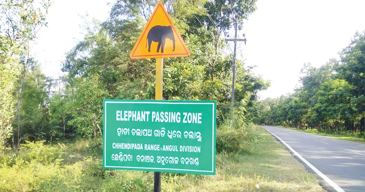  ଖଣି ଖାଉଛି ଜମି, ଜଙ୍ଗଲ : କୋଇଲା ପାଇଁ ଉଜୁଡ଼ିବ ଛେଣ୍ଡିପଦା!