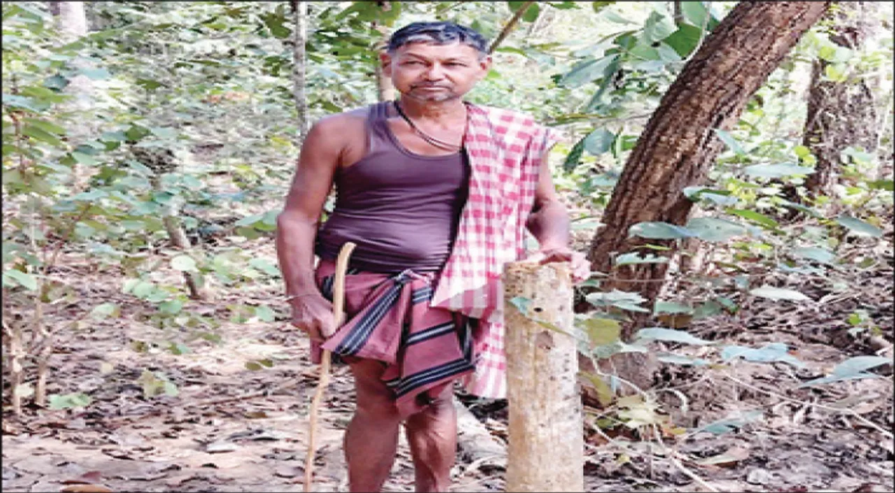  କୋଟି କୋଟି ଟଙ୍କା ବର୍‌ବାଦ୍‌: ଫେଲ୍‌ ମାରିଛି ଜଗନ୍ନାଥ ବନ ପ୍ରକଳ୍ପ