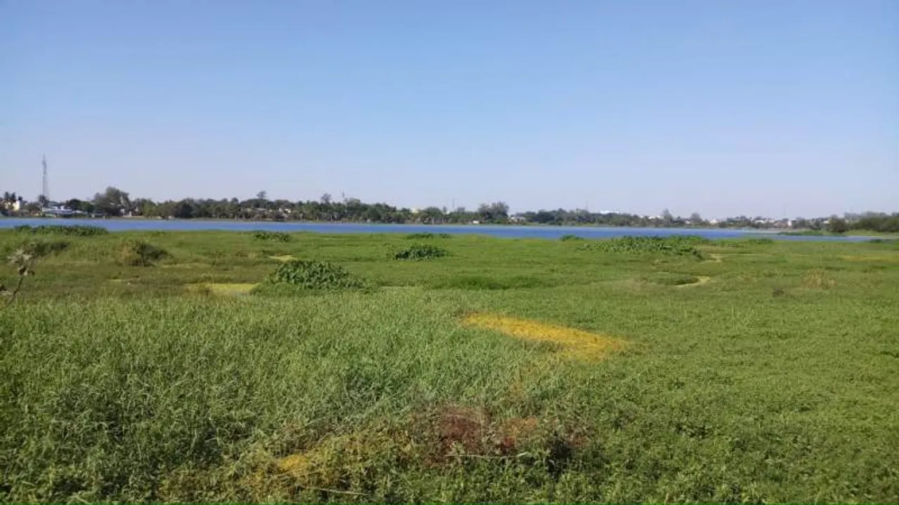  Sambad 