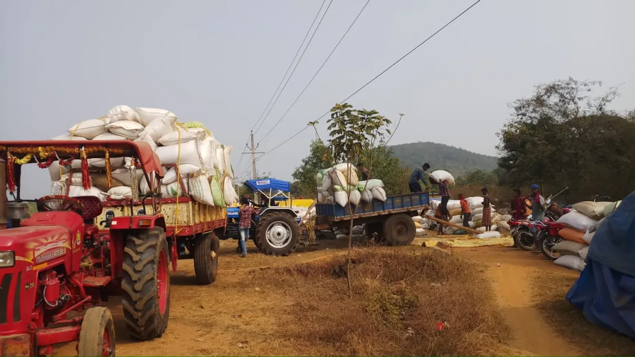  ଏବେସୁଦ୍ଧା ୪ ଲକ୍ଷ ୨୫ ହଜାର ମେଟ୍ରିକ୍‌ ଟନ୍‌ ରବି ଧାନ ସଂଗ୍ରହ