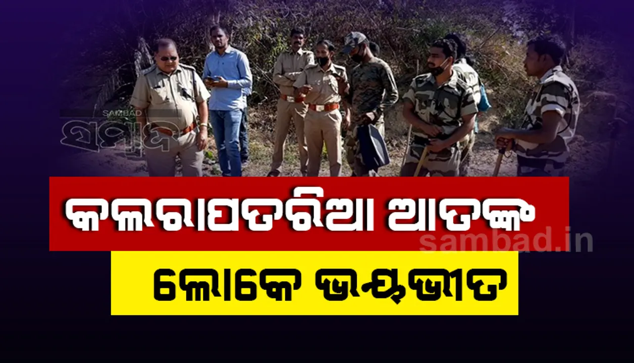  ନୂଆପଡ଼ା:  ପରିବା କ୍ଷେତକୁ ଯାଇଥିଲେ ଚାଷୀ, ଦେଖିଲେ ୨ଟି କଲରାପତରିଆ !