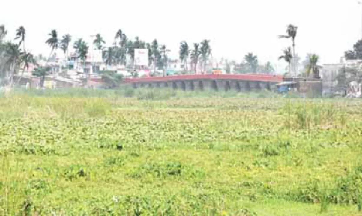  ପୁରୀ ଜମି କେଳେଙ୍କାରୀ : ଧରାପଡ଼ିଗଲା ସର୍ବଗିଳା କର୍ମଚାରୀଙ୍କ ଚାଲ୍