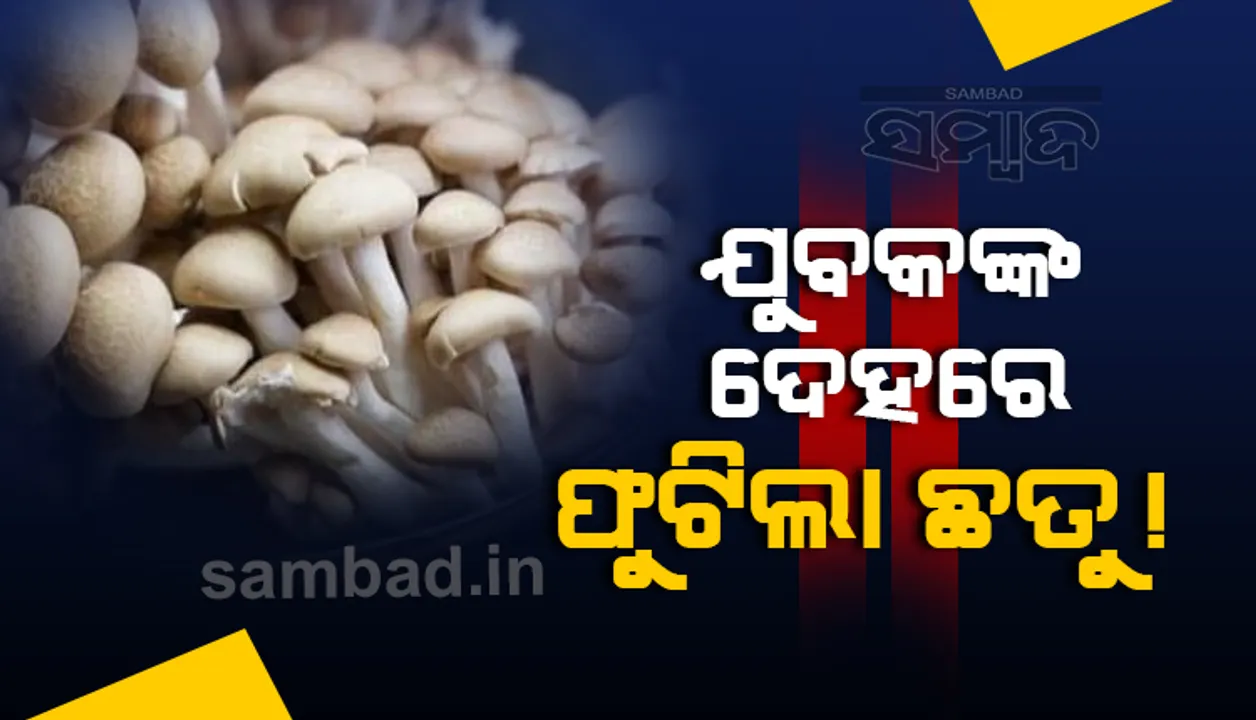  ଡାକ୍ତରଙ୍କ ପରାମର୍ଶ ନନେଇ ଚିକିତ୍ସା କରିବା ପଡ଼ିଲା ଭାରି, ଶରୀରରେ ଫୁଟିଲା ଛତୁ