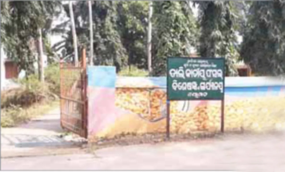 ଚିନି ପରେ ନୟାଗଡ଼ ହରାଇବ ଡାଲି ଗବେଷଣା କେନ୍ଦ୍ର