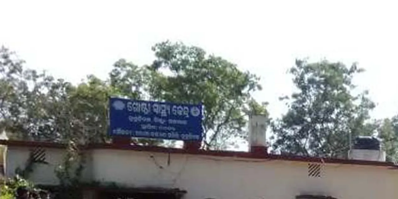  ଜଙ୍ଗଲି କନ୍ଦା ଖାଇ ପରିବାରର ୮ ଡାକ୍ତରଖାନାରେ