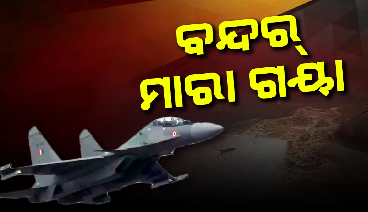  ବାଲାକୋଟ୍‌ ବିମାନ ଆକ୍ରମଣ ପରେ ପାହାନ୍ତା ୩:୪୫ରେ ଦିଲ୍ଲୀକୁ ଫୋନ୍‌ ଆସିଲା: ମାଙ୍କଡ଼ ମରା ହେଲା