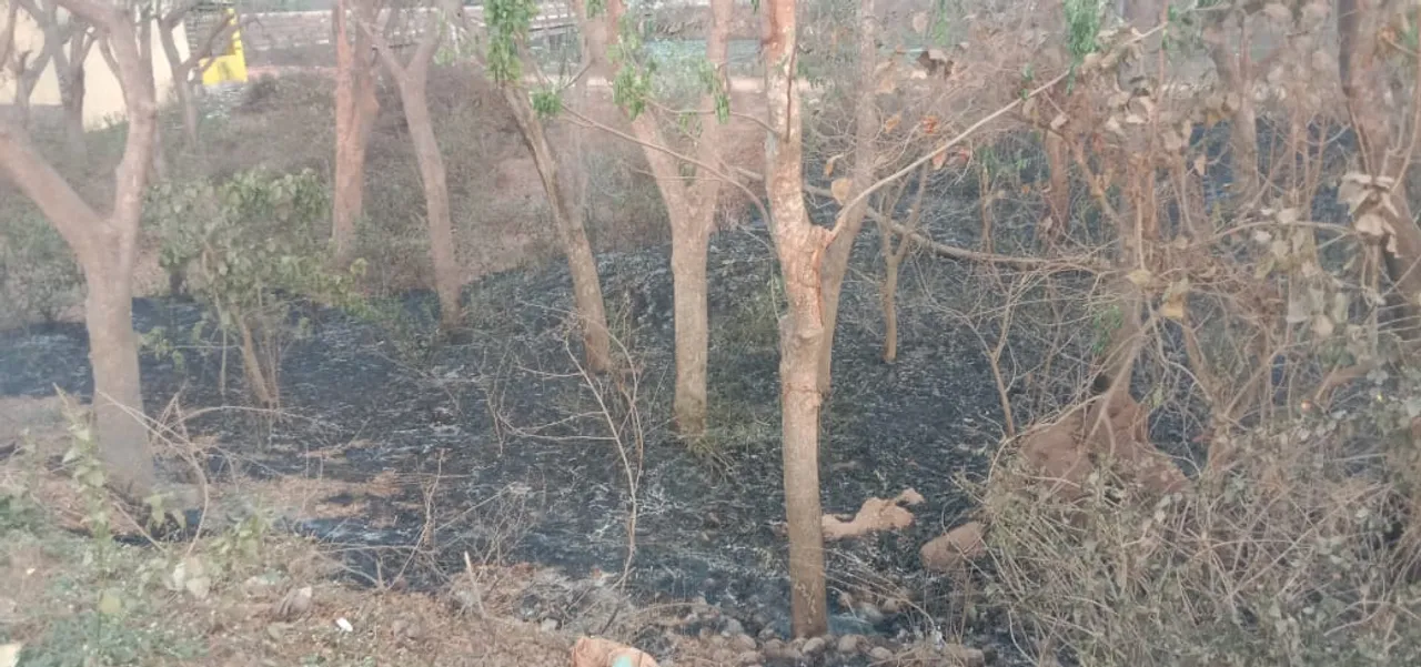  ଜଳିଗଲା କୁଦପାଟଣା ଗ୍ରାମ୍ୟ ଜଙ୍ଗଲ