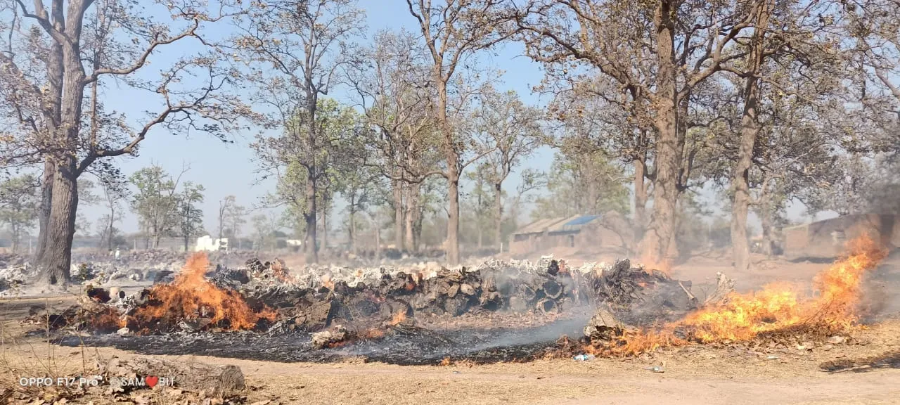  ପୋଡ଼ିଗଲା ୨୦ ଲକ୍ଷ ଟଙ୍କାର କାଠ, ନିଆଁ ଲାଗିଲା ନା ଲଗାଇଦେଲେ ?