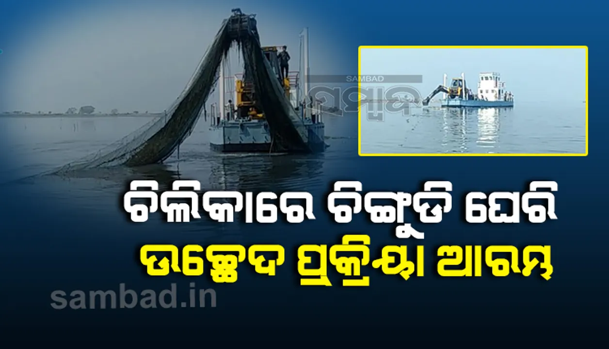  ଚିଲିକା ଗଡ଼ ଜେଟିରୁ ବେଆଇନ ଚିଙ୍ଗୁଡ଼ି ଘେରି ଉଚ୍ଛେଦ ପ୍ରକ୍ରିୟା ଆରମ୍ଭ, ୬ଦିନ ଧରି ଚାଲିବ ଅଭିଯାନ