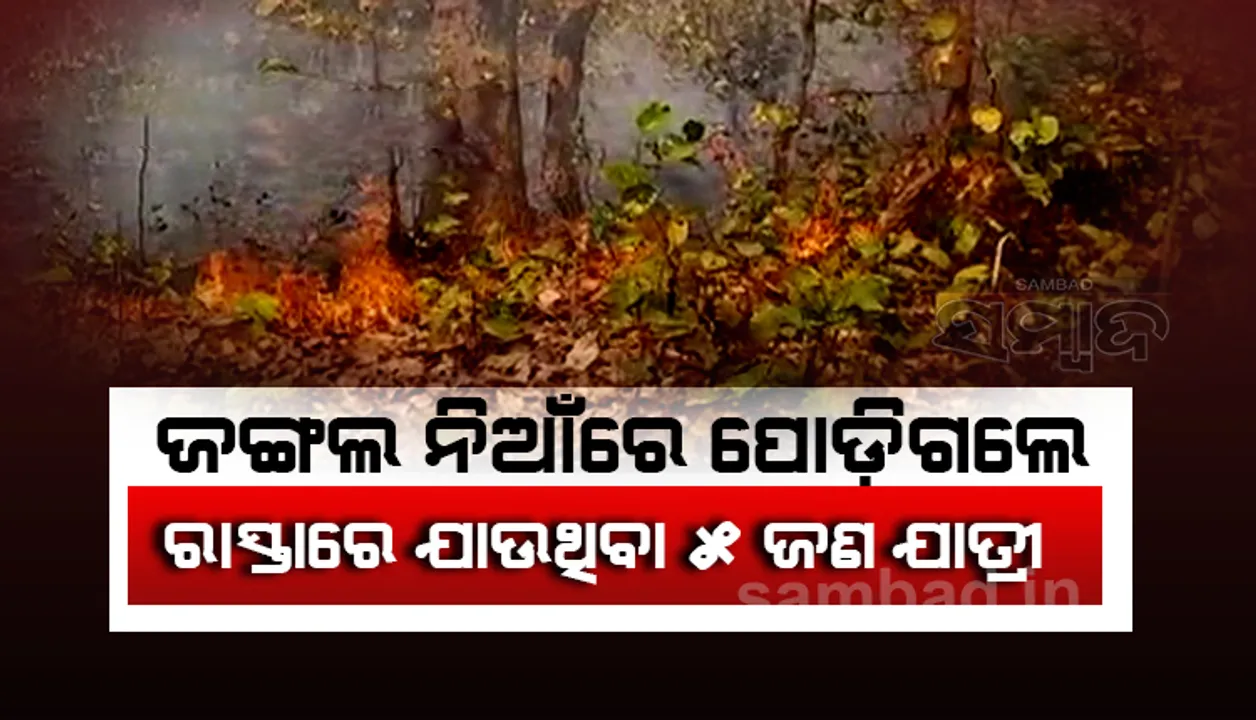  ଜଙ୍ଗଲ ଅଚାନକ ପବନ ବହିବା ଯୋଗୁଁ ମାଡି ଆସିଥିଲା ନିଆଁ ଓ ଧୂଆଁ, ପୋଡିଗଲେ ରାସ୍ତାରେ ଯାଉଥିବା ୫ ଜଣ ଯାତ୍ରୀ
