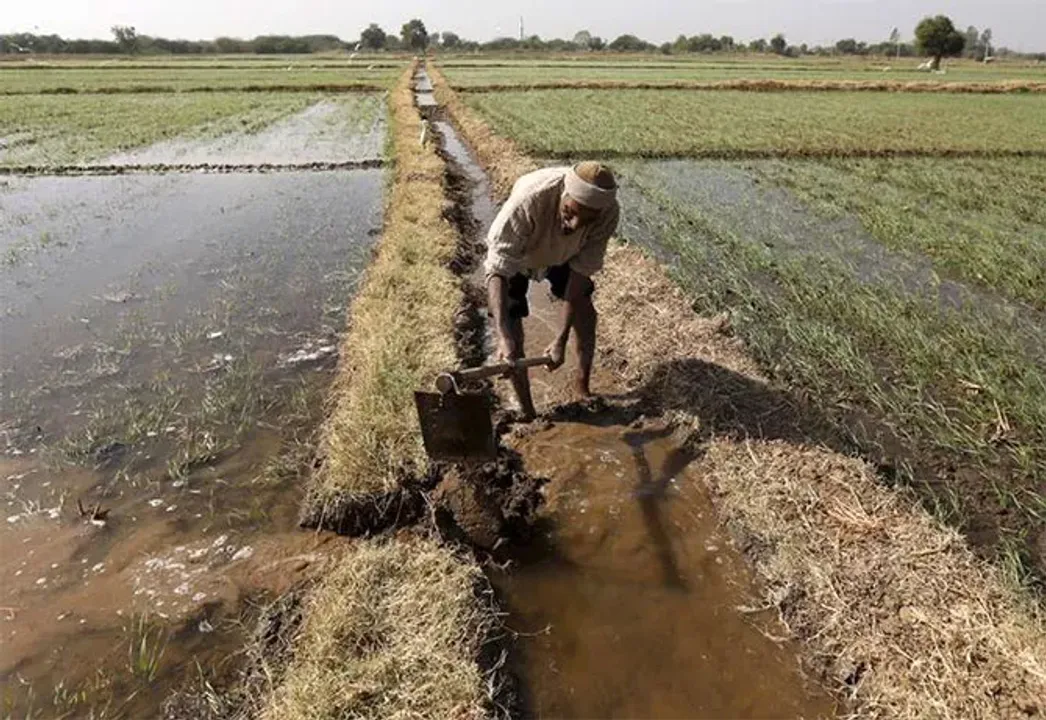  image credit : indiatv 