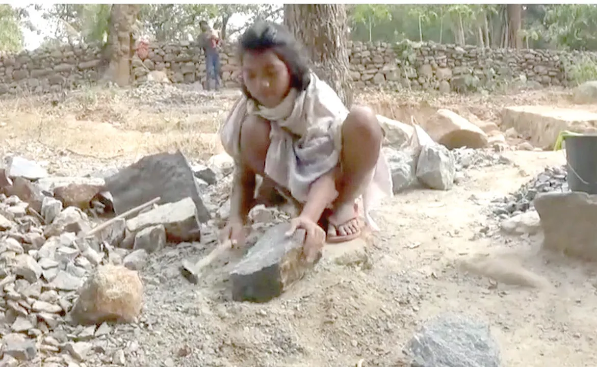  ଖୋଲିନି ସ୍କୁଲ, ପାଠରେ ଡୋରି : ଏବେ କାମ କରି ରୋଜଗାର, ପଥର ଗୋଡ଼ି ବାଡ଼ଉଛନ୍ତି ପିଲା