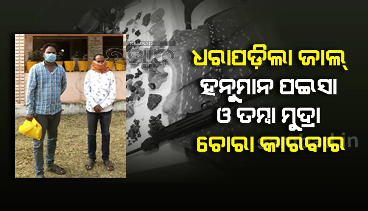  ୩ ଆନ୍ତରାଜ୍ୟ ବ୍ୟବସାୟୀ ଗିରଫ, ଜାଲ ହନୁମାନ ପଇସା-ତମ୍ବା ମୁଦ୍ରା ସହ ହରିଣ ଛାଲ ଓ ବନ୍ଧୁକ ଜବତ