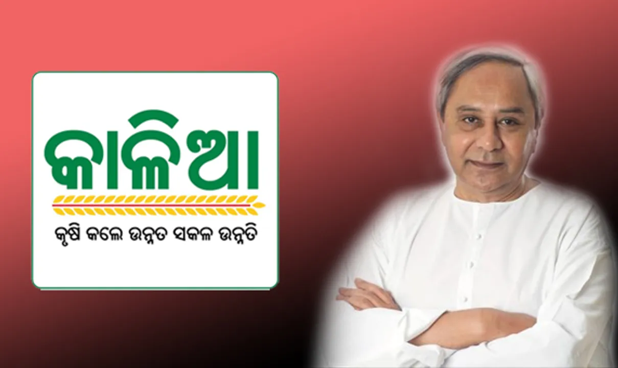  କାଳିଆ ଯୋଜନାରେ ଏଯାଏଁ କେତେ ଟଙ୍କା ଖର୍ଚ୍ଚ କରିଛନ୍ତି ରାଜ୍ୟ ସରକାର?