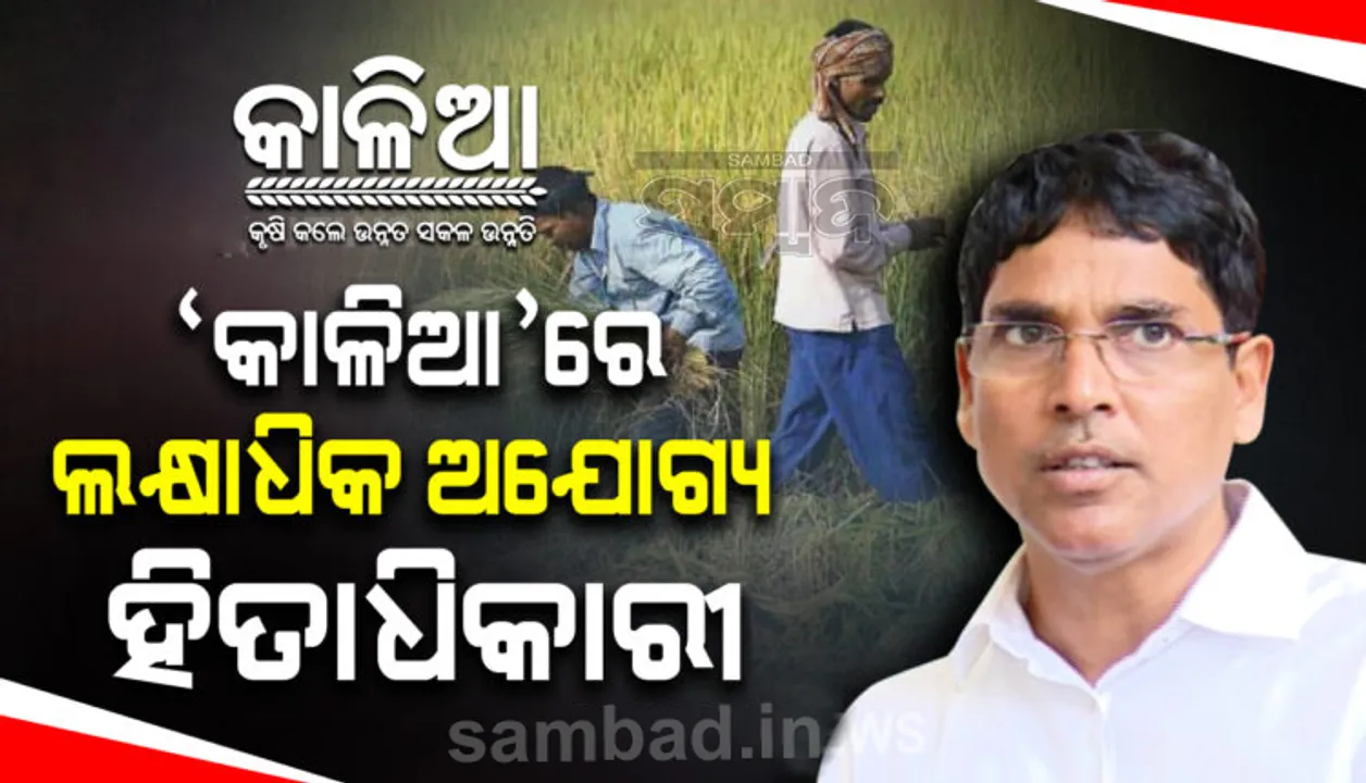 କାଳିଆ ଯୋଜନାରେ ଲକ୍ଷାଧିକ ଅଯୋଗ୍ୟ ହିତାଧିକାରୀ