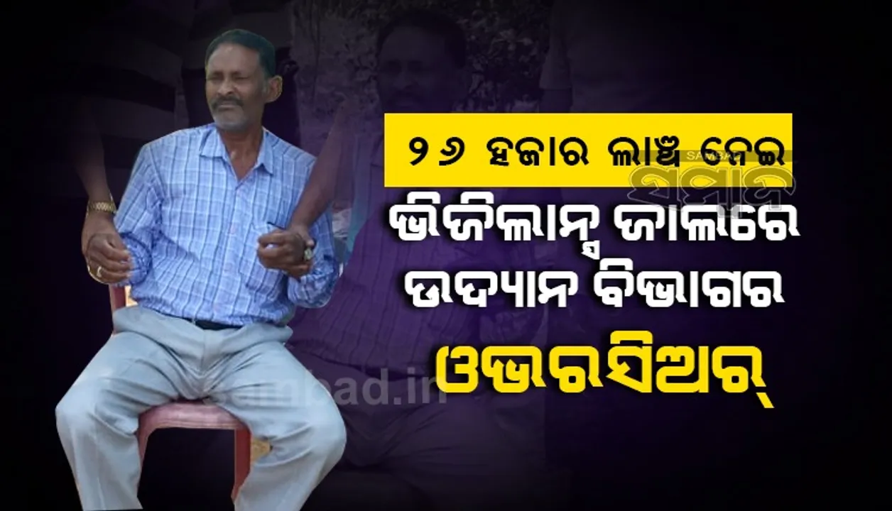  ଚାଷୀଙ୍କ ଠାରୁ ୨୬ ହଜାର ଲାଞ୍ଚ ନେଉଥିବା ବେଳେ ଭିଜିଲାନ୍ସ ଜାଲରେ ପଡ଼ିଲେ ଉଦ୍ୟାନ ବିଭାଗର ଓଭରସିଅର୍