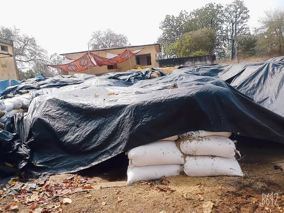  ମଣ୍ଡି ମହାଦୁର୍ନୀତିରେ ପେକ୍ସ ସଂପାଦକ!