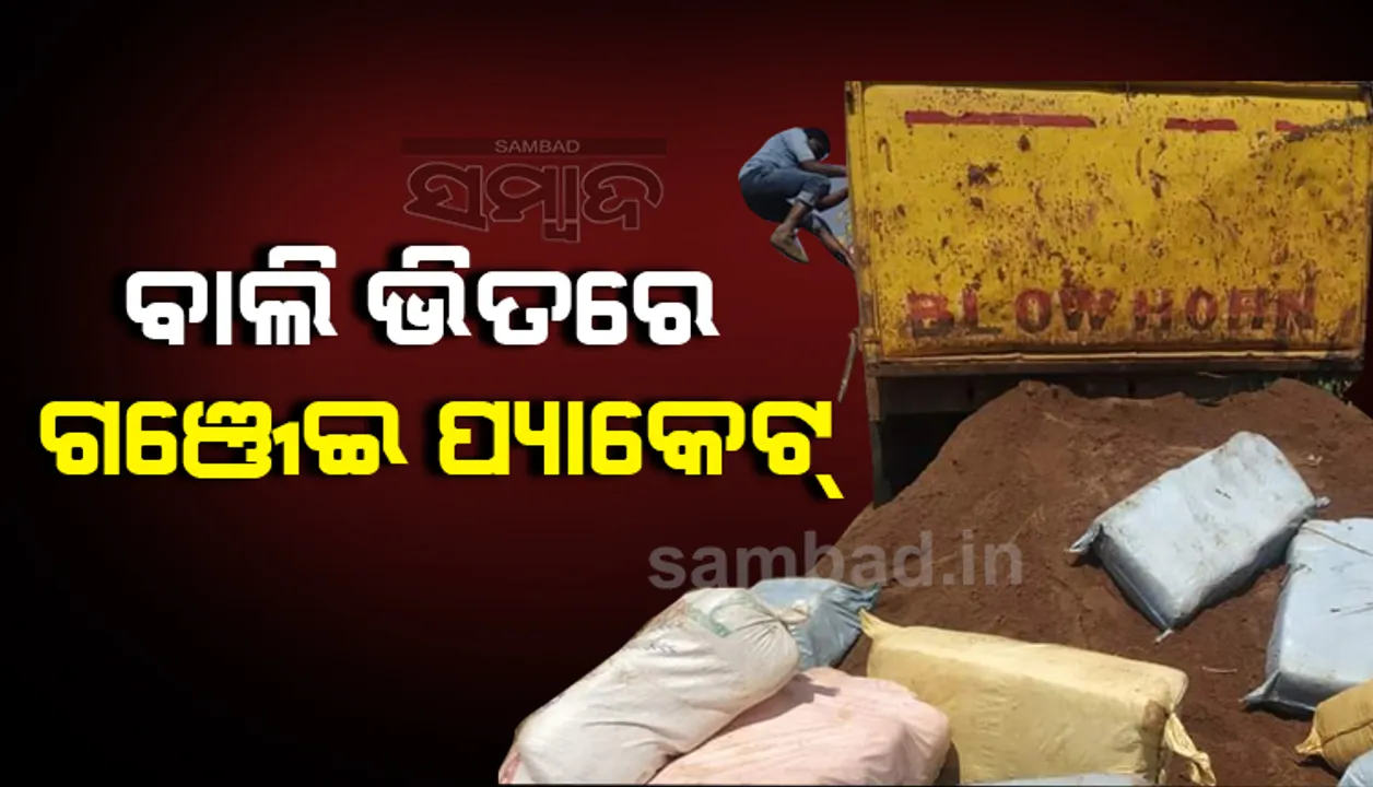  ବାଲି ବୋଝେଇ ଟିପର ସହ ୪୩୨ କିଲୋ ଗଞ୍ଜେଇ ଜବତ, ଜଣେ ଗିରଫ