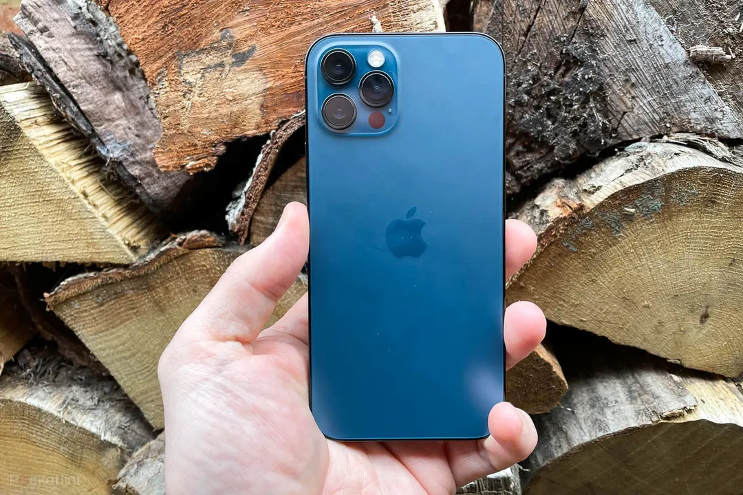  photo-pocket lint 
