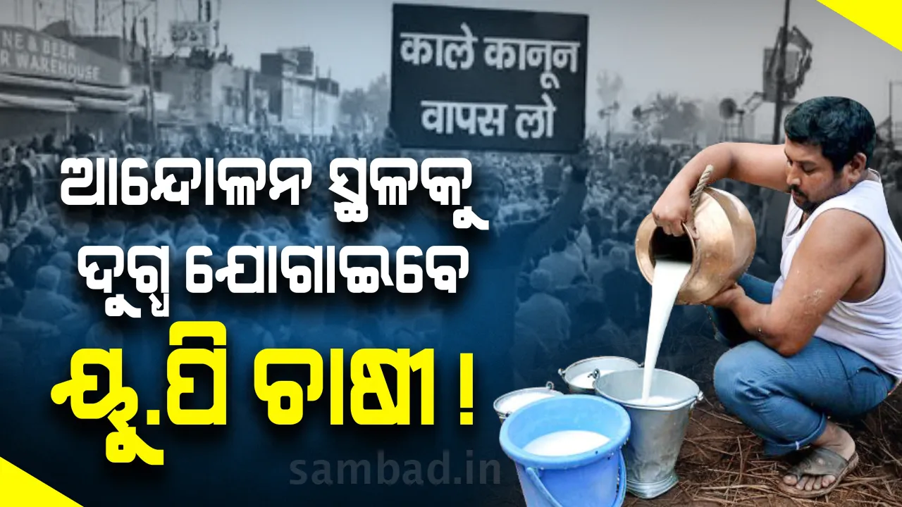  କମ୍ପାନିକୁ ଦୁଗ୍ଧ ନପଠାଇ ଆନ୍ଦୋଳନସ୍ଥଳକୁ ପଠାଇବେ ଉତ୍ତରପ୍ରଦେଶ ଚାଷୀ
