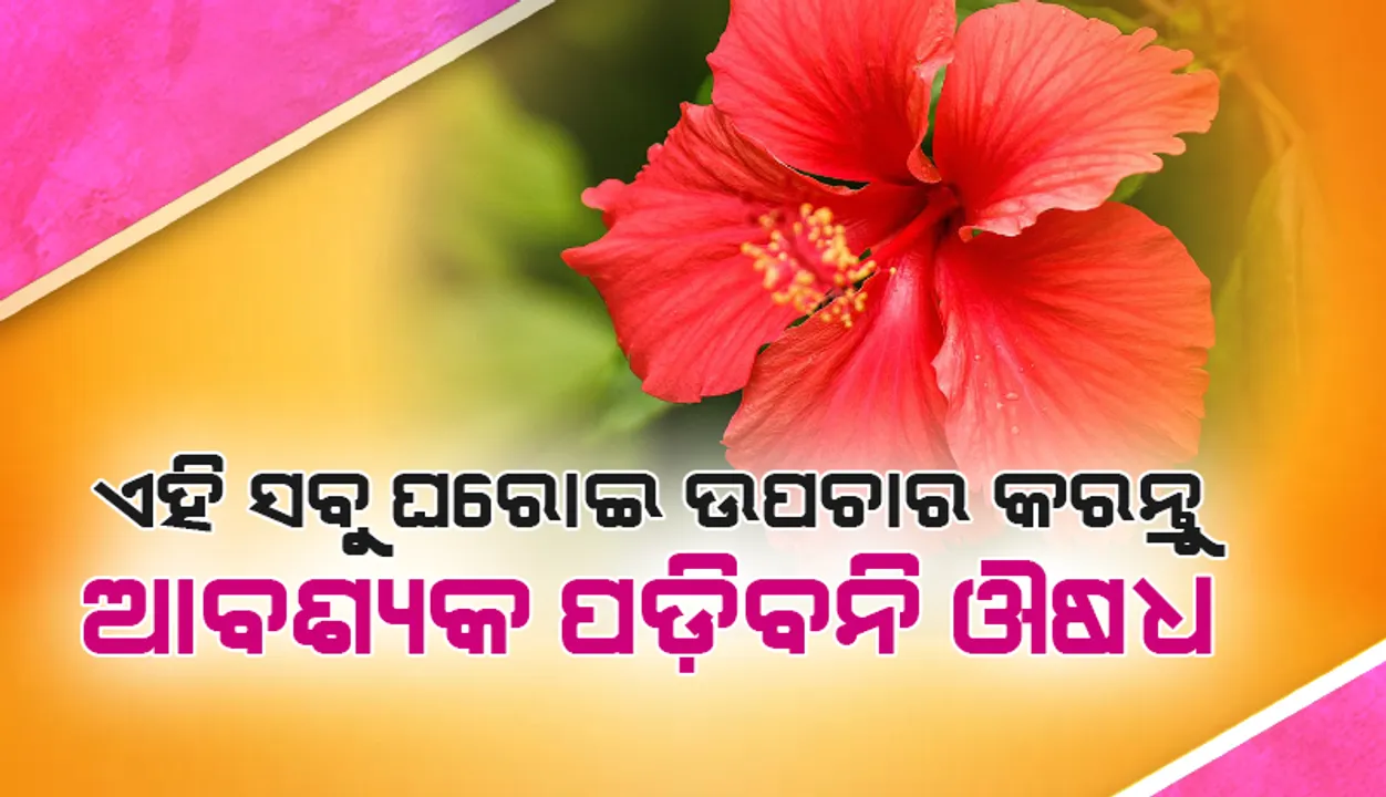  ଛୋଟ ଛୋଟ ସମସ୍ୟା ପାଇଁ ଏହି ସବୁ ଘରୋଇ ଉପଚାର ଜାଣିଗଲେ ଆଉ ଆବଶ୍ୟକ ପଡ଼ିବନି ଔଷଧ