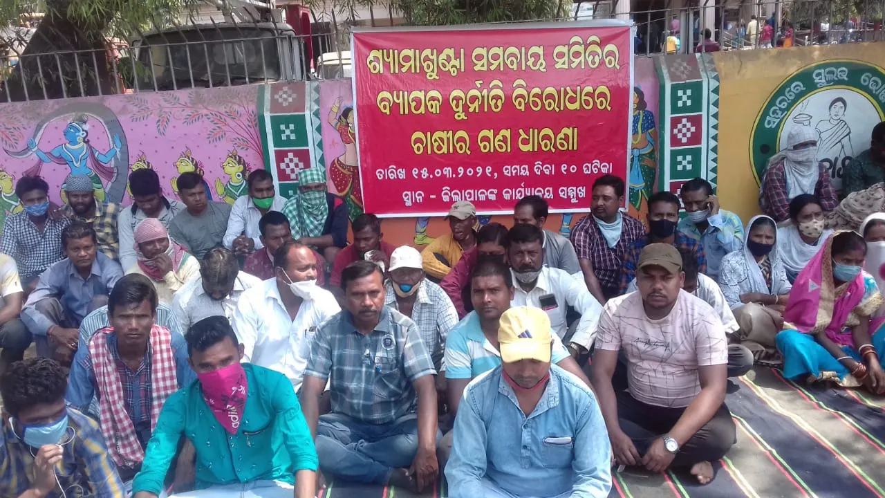  ମୟୁରଭଞ୍ଜରେ ତେଜୁଛି ଧାନ ବିକ୍ରି ତାତି, ଜିଲ୍ଲାପାଳଙ୍କ କାର୍ଯ୍ୟାଳୟ ସମ୍ମୁଖରେ ଧାରଣା ଦେଲେ ଚାଷୀ
