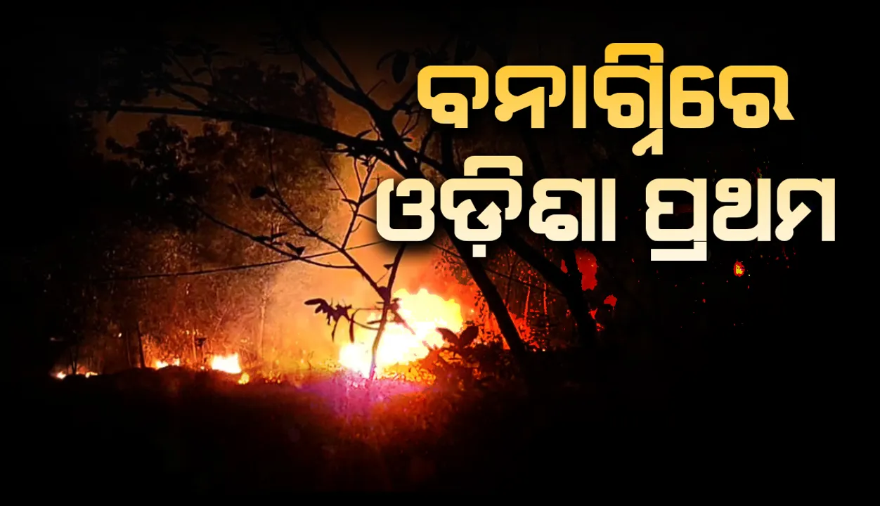  ଗୋଟିଏ ସପ୍ତାହରେ ଦେଶରେ ଘଟିଥିବା ବନାଗ୍ନିକାଣ୍ଡ ଘଟଣାରେ ଓଡ଼ିଶାର ସ୍ଥାନ ପ୍ରଥମ