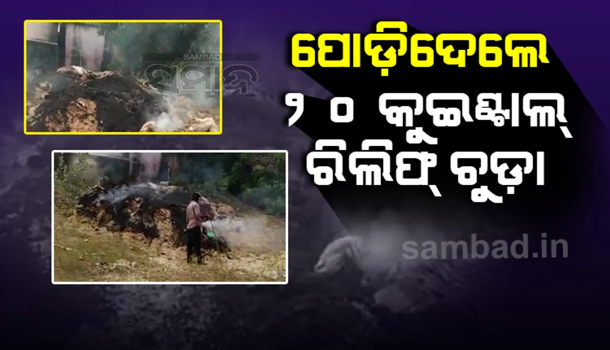  ସରକାରକା ମାଲ ଦରିଆମେ ଡାଲ: ୨୦ କୁଇଣ୍ଟାଲ ରିଲିଫ ଚୁଡ଼ା ପୋଡ଼ିଲା ପ୍ରଶାସନ