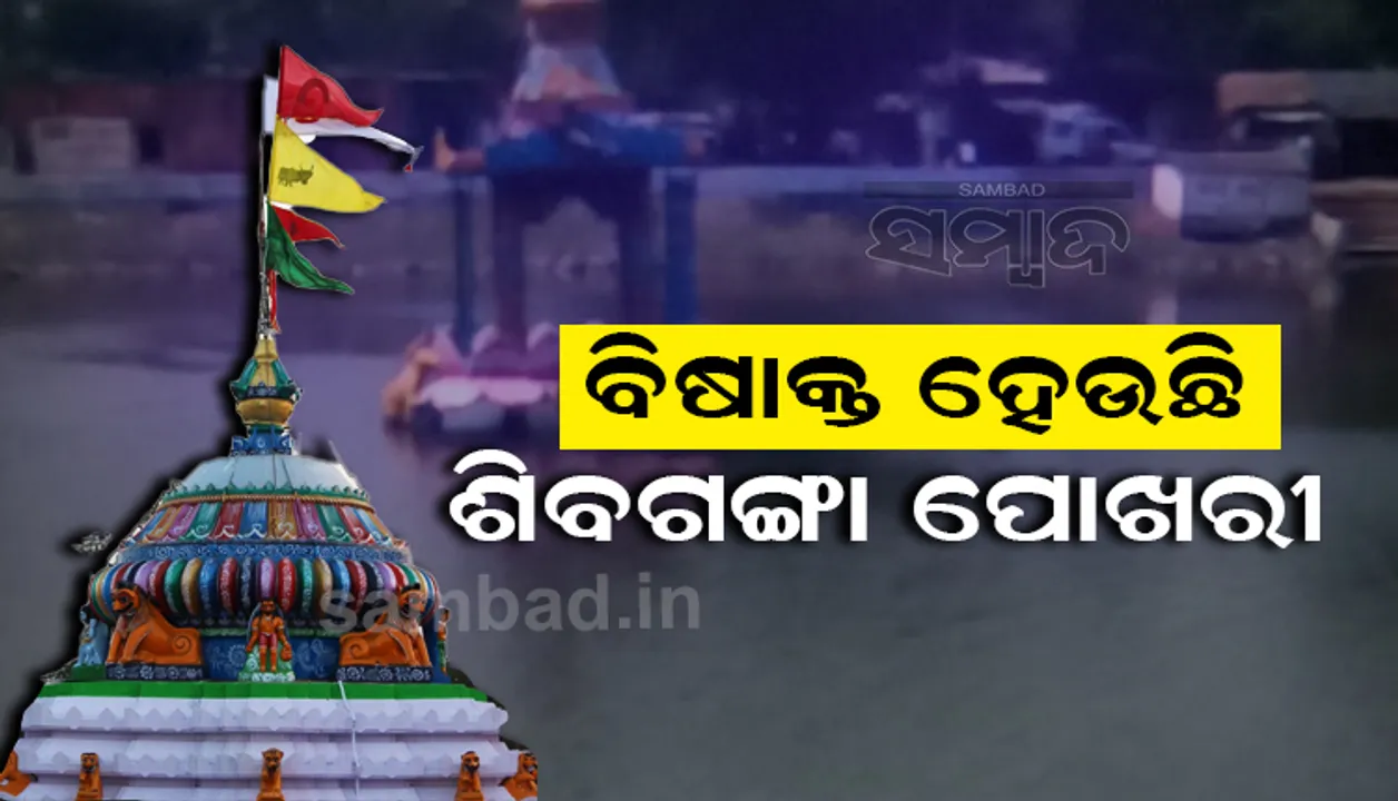  ଆରଡ଼ି ଶୈବପୀଠର ’ଶିବଗଙ୍ଗା’କୁ ଦୂଷିତ କରୁଛି ଚିଙ୍ଗୁଡ଼ି ପୋଖରୀରୁ ନିଷ୍କାସିତ ବିଷାକ୍ତ ପାଣି