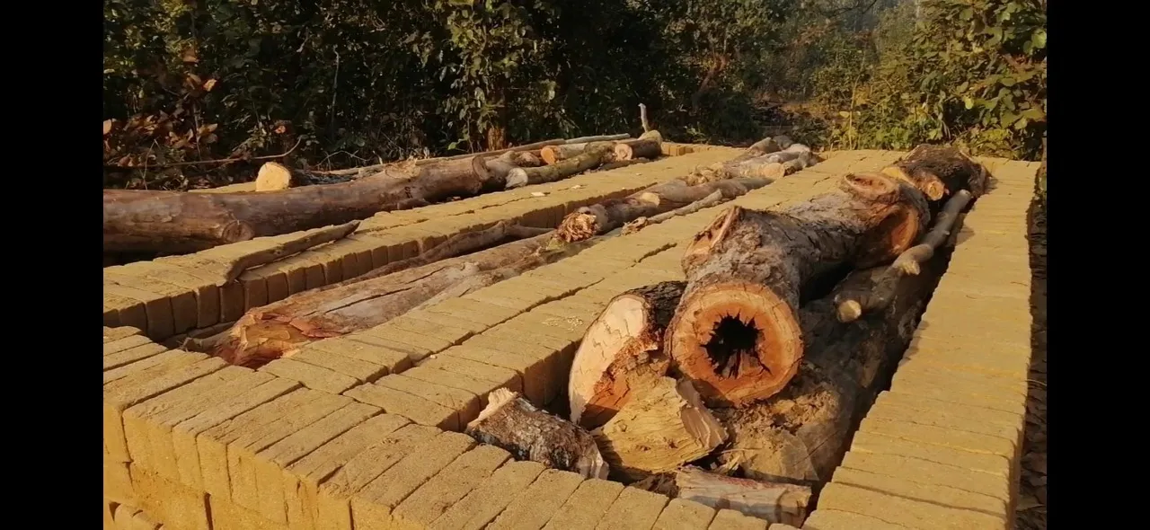  ଜଳୁଛି ବେଆଇନ ଇଟାଭାଟି, ଦୂଷିତ ହେଉଛି ପରିବେଶ