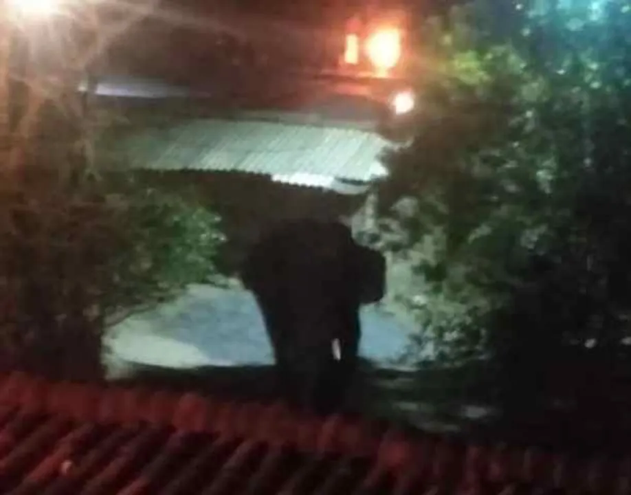  ମୁ‌ଣ୍ଢେରରେ ଦନ୍ତା ଆତଙ୍କ, ୪ ଘର ଭାଙ୍ଗିଲା