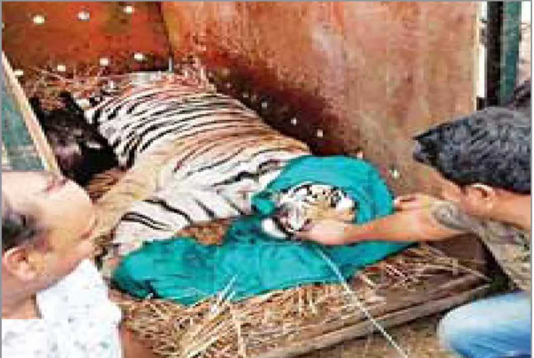  ସାତକୋଶିଆ ଛାଡ଼ିଲା ସୁନ୍ଦରୀ, ଅଢେଇ ବର୍ଷ ଧରି ଲାଗି ରହିଥିବା କଳ୍ପନାଜଳ୍ପନାର ଅନ୍ତ