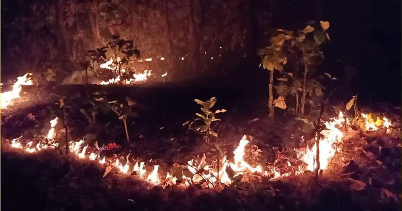  ଥମୁନି ଜଙ୍ଗଲ ନିଆଁ : ରାଜ୍ୟର ୮୩୫ଟି ସ୍ଥାନରେ ଏବେବି ଜଳୁଛି ଜଙ୍ଗଲ