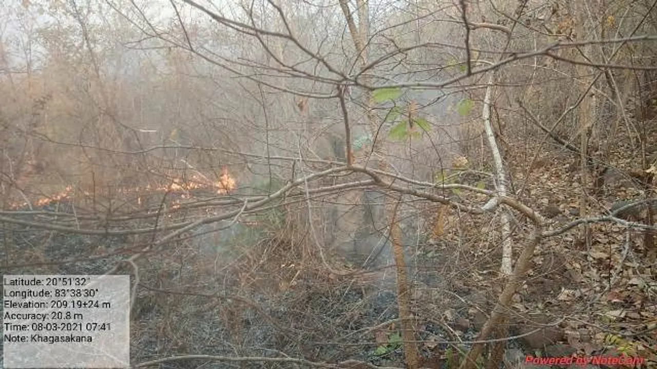  ବାରପାହାଡ଼ ଜଙ୍ଗଲରେ ଲିଭୁନି ନିଆଁ 