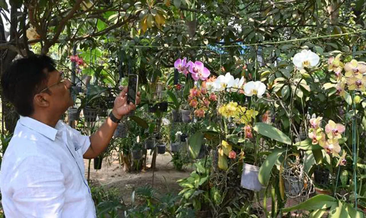  ବାଲଗୋପାଳଙ୍କ ନିଆରା ଫୁଲ ବଗିଚା : ଶୋଭା ପାଉଛି ୩୦୦ ପ୍ରକାର ଅର୍କିଡ ଫୁଲ