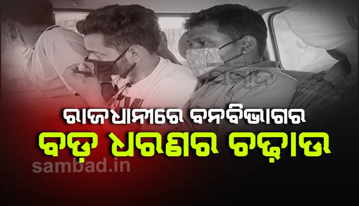  ରାଜଧାନୀରୁ କୋଟିଏରୁ ଅଧିକ ଟଙ୍କାର ସାପ ବିଷ ଜବତ, ୮ ଅଭିଯୁକ୍ତ ଅଟକ