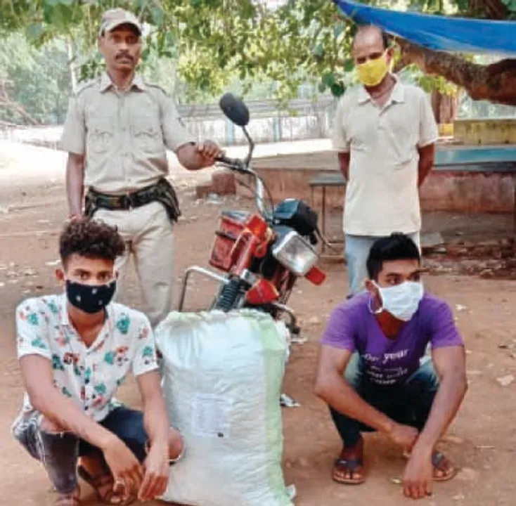  ବାଇକ୍ ସହିତ ଗଞ୍ଜେଇ ଜବତ, ଦୁଇ ଗିରଫ