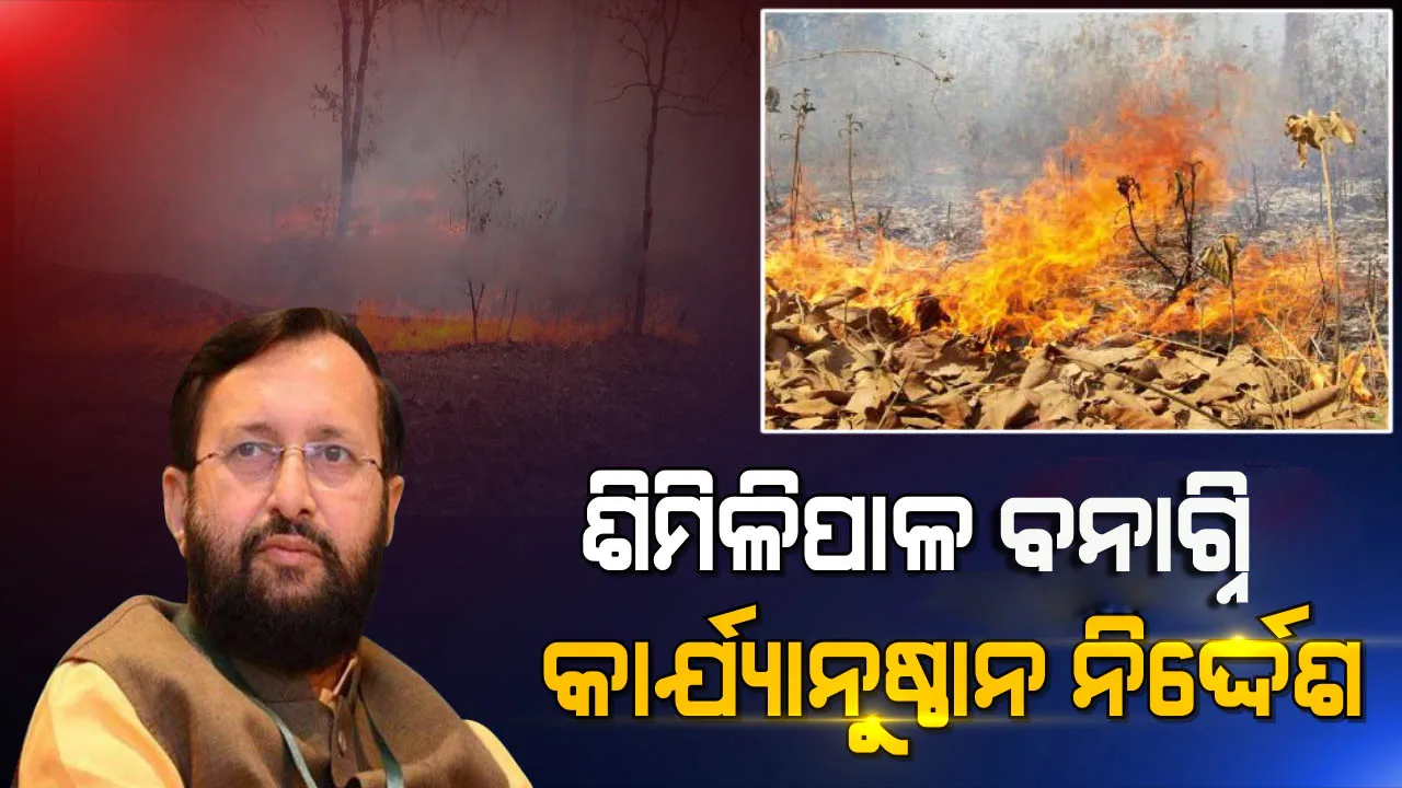  ଶିମିଳିପାଳ ବନାଗ୍ନି ଘଟଣାରେ ତୁରନ୍ତ କାର୍ଯ୍ୟାନୁଷ୍ଠାନ ପାଇଁ ନିର୍ଦ୍ଦେଶ ଦେଲେ କେନ୍ଦ୍ର ଜଙ୍ଗଲ ଓ ପରିବେଶ ମନ୍ତ୍ରୀ