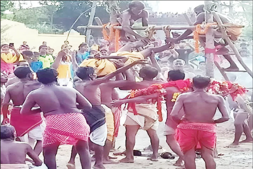  କଟକଣାରେ ଝାମୁଯାତ୍ରା: ମେଣ୍ଢାଶାଳ ମେରୁଯାତ ସରିଲା ଉଗ୍ରତପ, ଆଜି ଝାମୁଚଲା