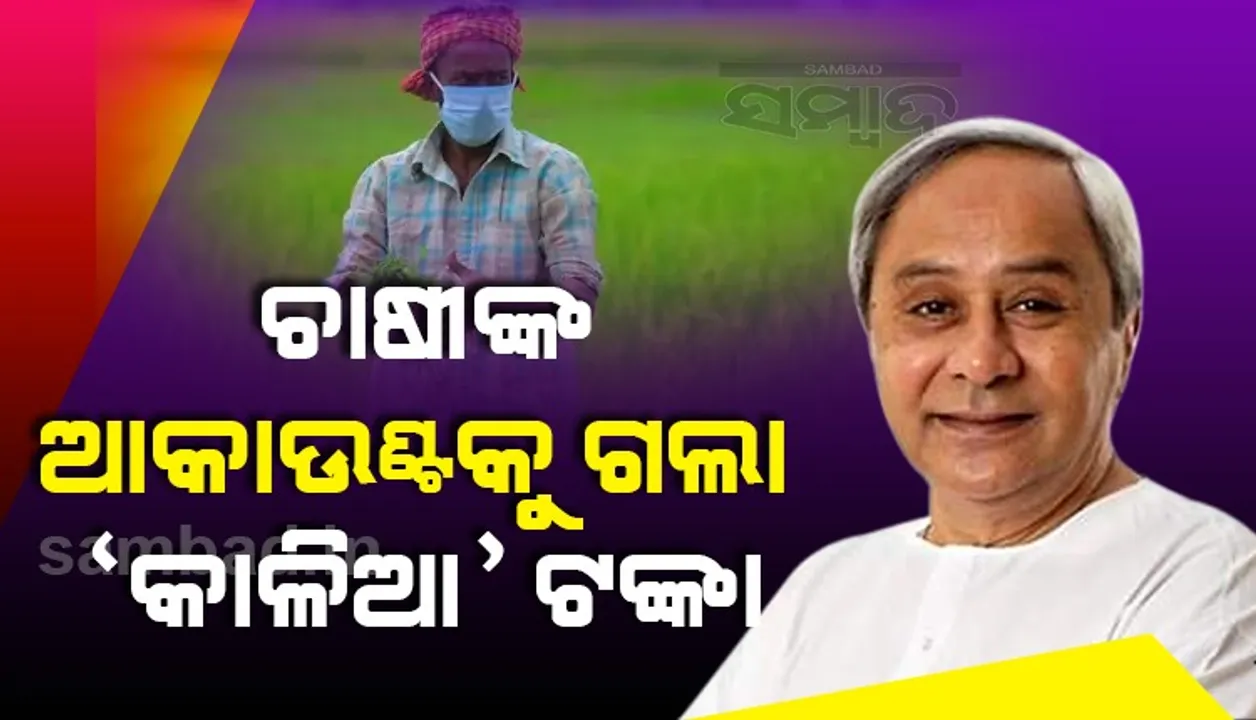  ଓଡିଶାର ସ୍ବାଭିମାନ ବୃଦ୍ଧିରେ ଚାଷୀଙ୍କ ରହିଛି ବଡ଼ ଭୂମିକା: ମୁଖ୍ୟମନ୍ତ୍ରୀ